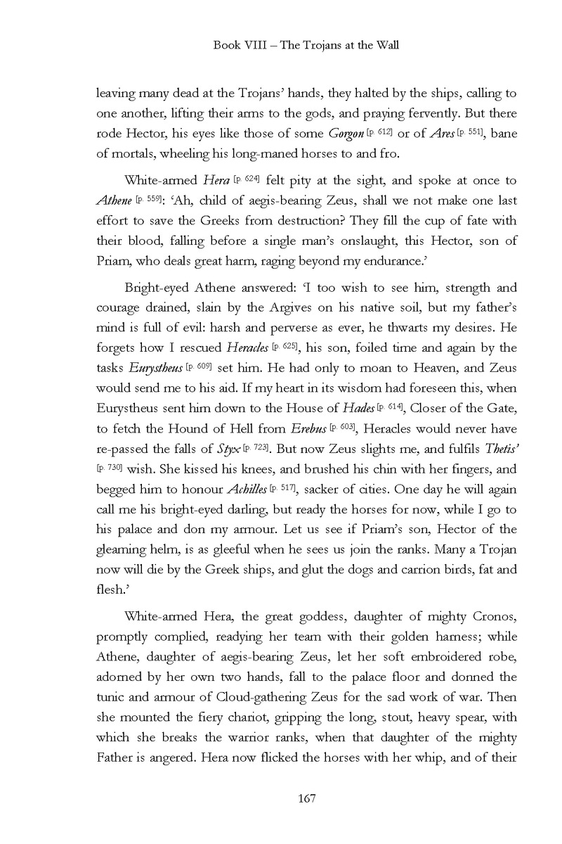 The Iliad - Page 161